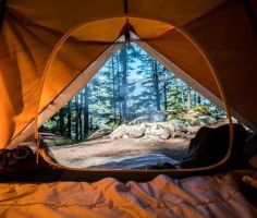 Plan A Camping Trip: 5 Things To Do